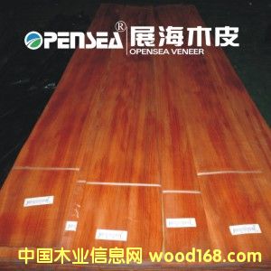 �t̴ľƤ��Ԕ��(x��)��B