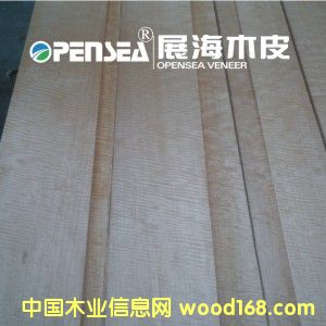 �tӰ��Ԕ��(x��)��B