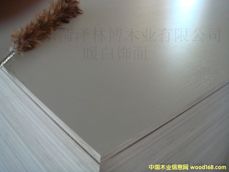 ���B(t��i)���Ԕ��(x��)��B