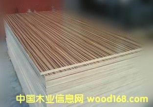 斑馬的詳細(xì)介紹