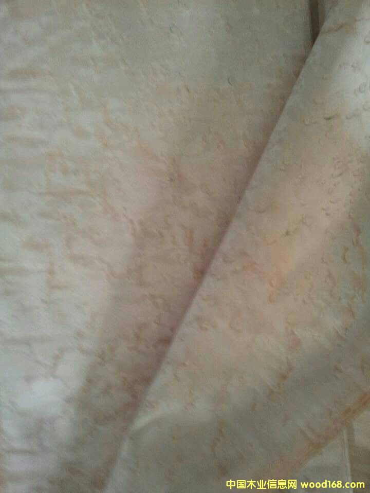 ��ľȸ��2��Ԕ����B