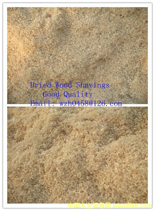 ���s�ٻ���Ԕ��(x��)��B