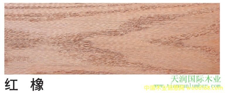 �t  ��  Red Oak
