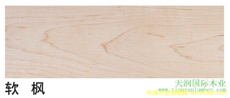 ܛ �� Soft Maple 