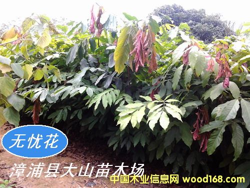 [��] �o�n�����o�n��������䣩