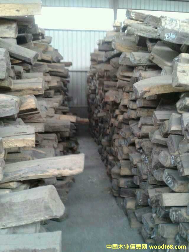 �ϓ�t��֦��Ԕ����B