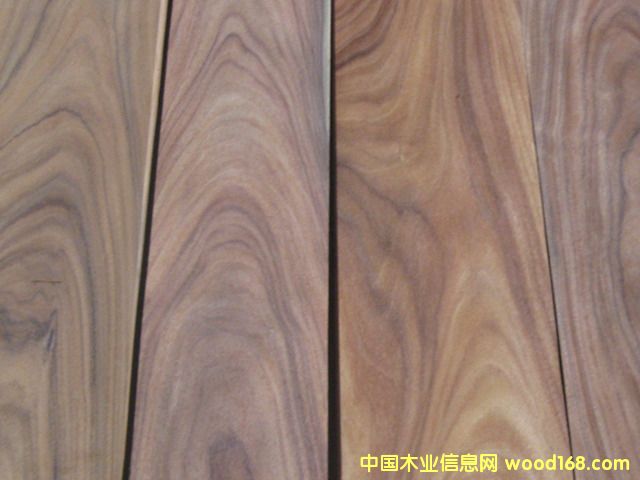 ������֦ľƤ