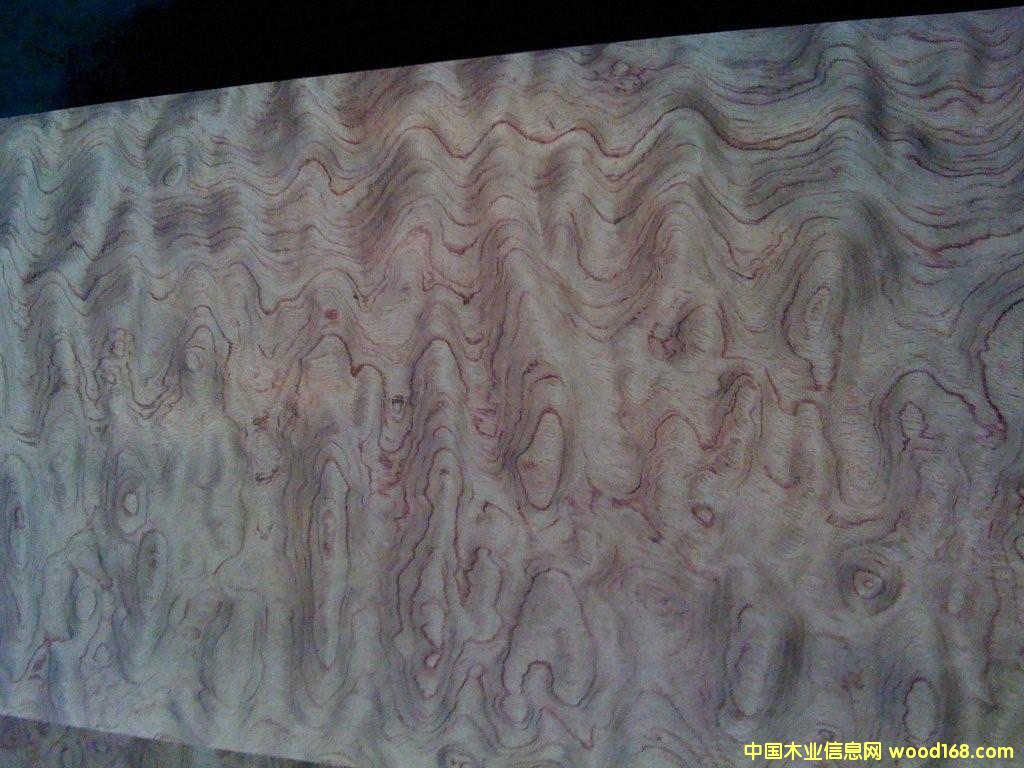 ���λ���ľƤ��Ԕ��(x��)��B