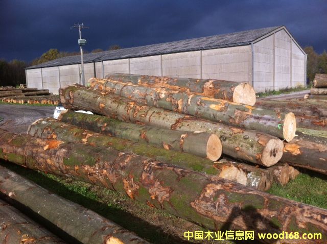 �·�ABC��ľԭľ��Ԕ��(x��)��B