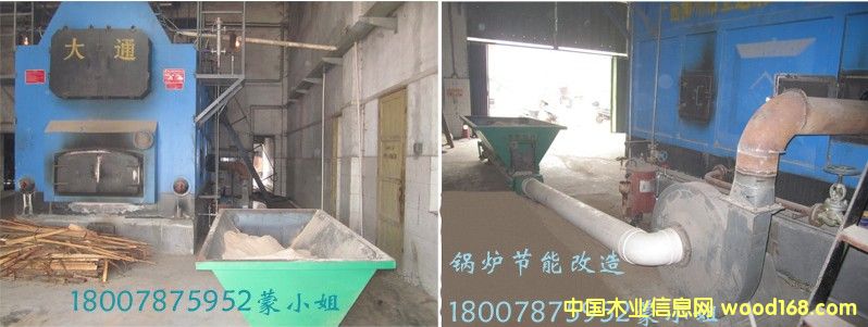 ȼú偠t��(ji��)�ܼ��g(sh��)�����Ԕ��(x��)��B