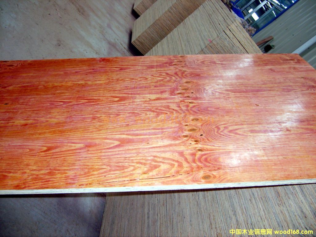 50cmɼľ��;�������������G����Ԕ����B