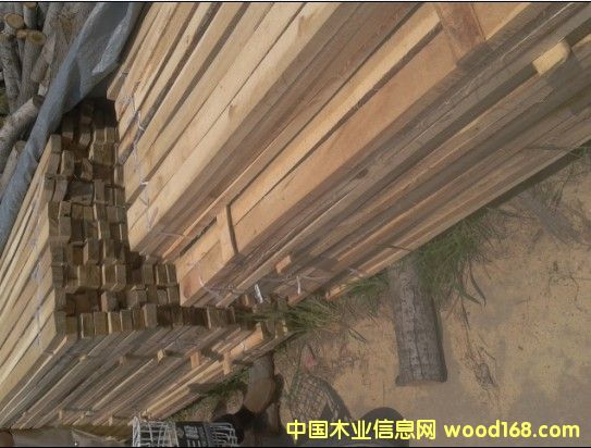 ľ����ľ�l����ľ��