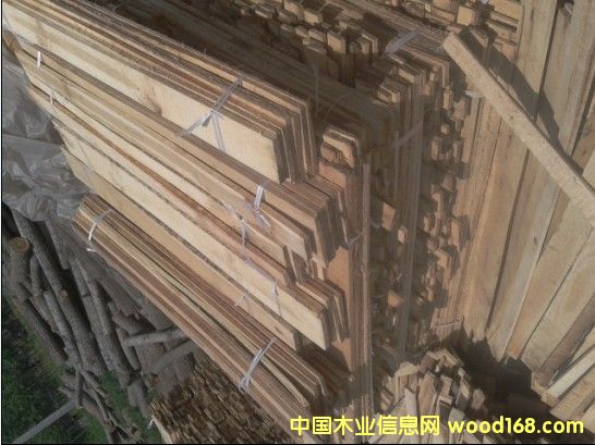 ��ľ�l����ľ��