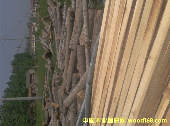 ��ľ�����ľ�l��ľ��