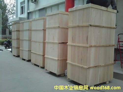 11��Ԕ����B