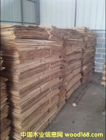 ��ľ�ΰ��Ԕ��(x��)��B