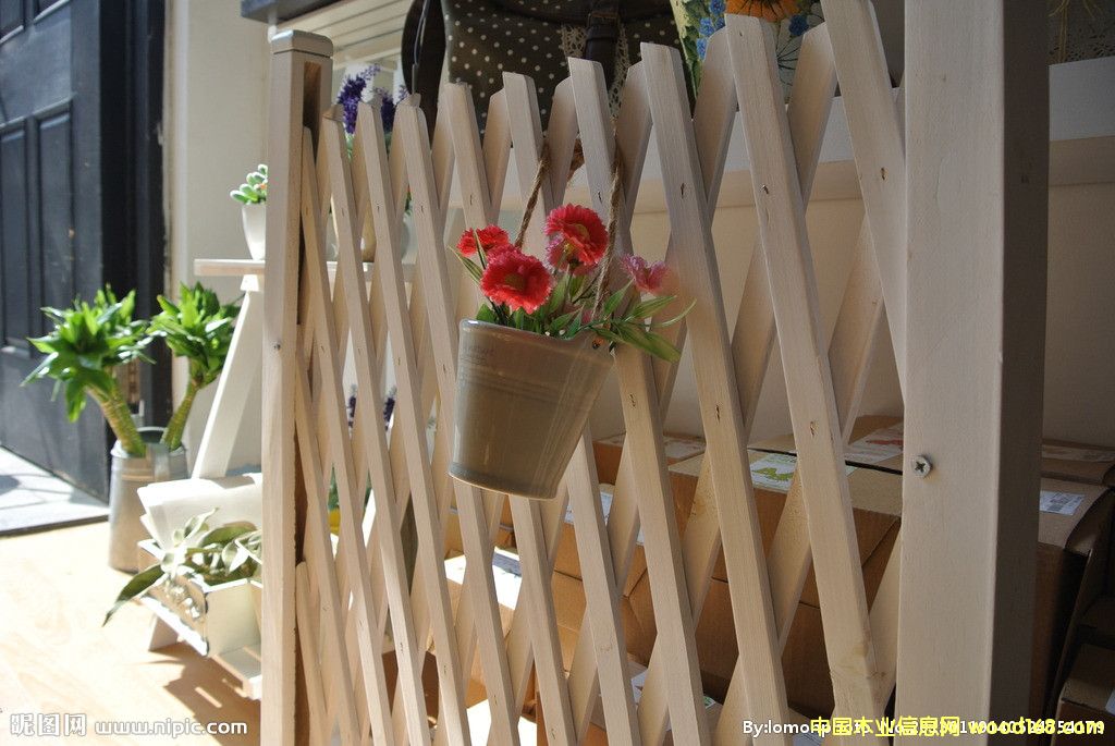 ����(y��ng)�o(h��)����ľ�ř���������ڵ�Ԕ��(x��)��B