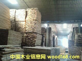 ��ľ��Ԕ����B