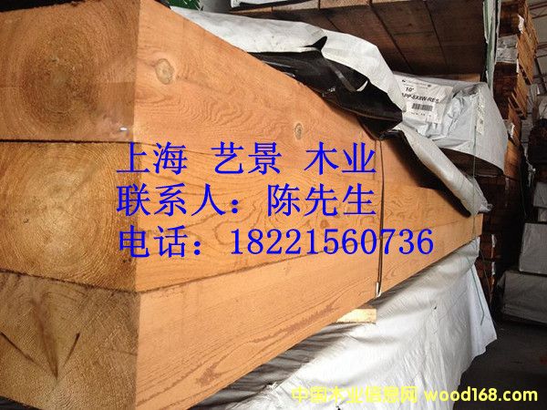 �tѩ�ɵ����c�������Ԕ��(x��)��B