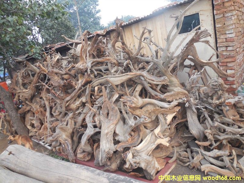 �°�ë�����l(f��)��Ԕ����B