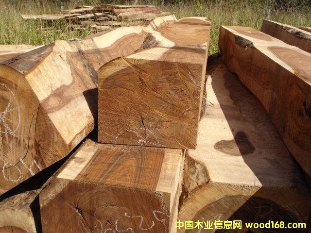 ܊������Ԕ����B