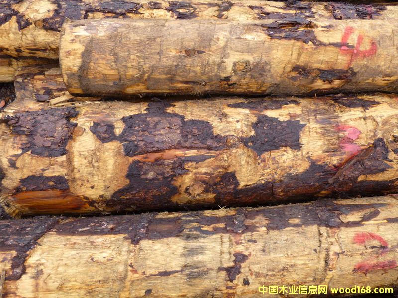 ��ɼ�����ô󣩵�Ԕ��(x��)��B