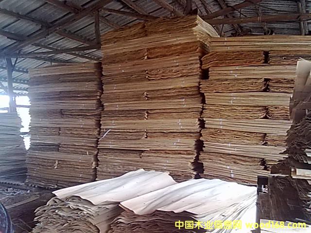 һ��(j��)���Ԕ��(x��)��B