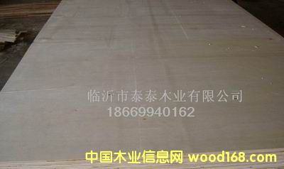 ��NҎ(gu��)����b�� 