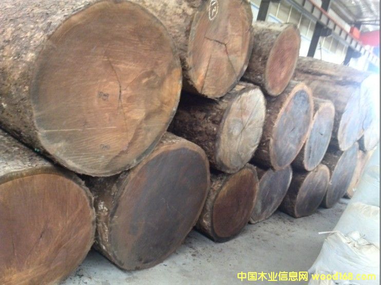 �����z骵�Ԕ��(x��)��B