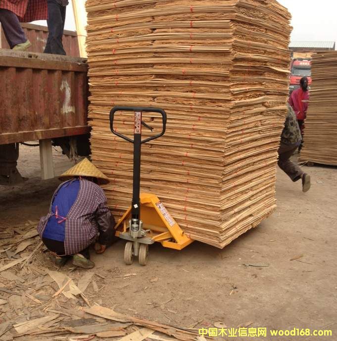 ��ľ�ΰ��Ԕ��(x��)��B