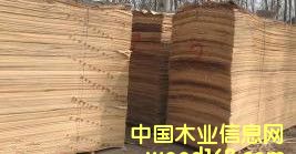 �Ƽ�ľ���rƤ��Ԕ��(x��)��B