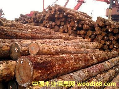 ݗ���ɵ�Ԕ����B