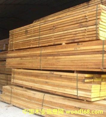 ����ľ���t/�S��