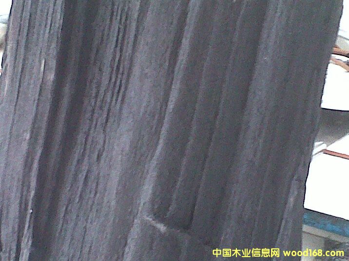 樹皮的詳細介紹