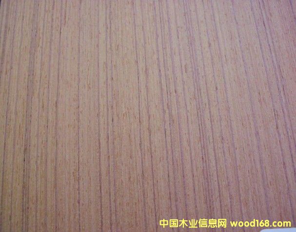 ����(y��ng)EV��ľľƤ