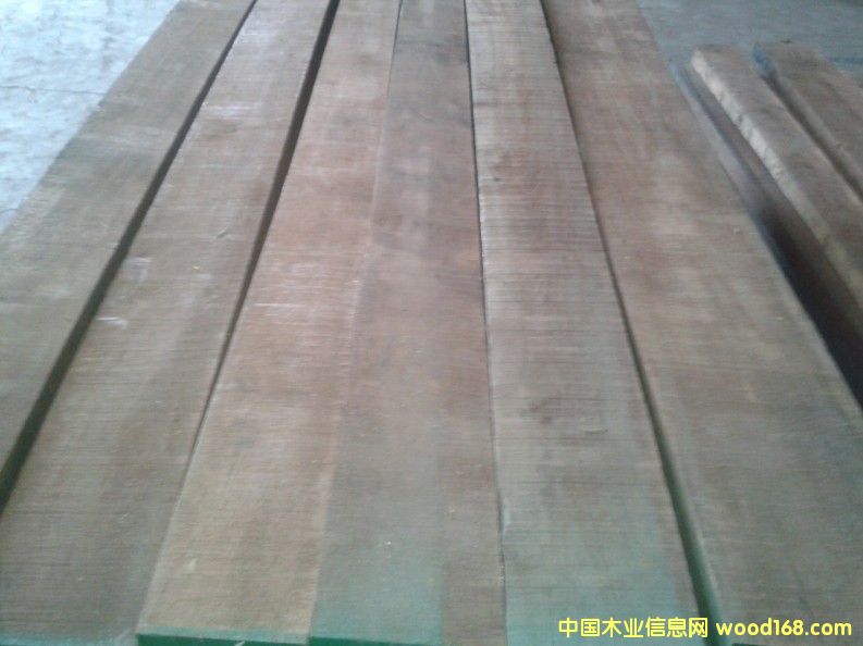 黑胡桃的詳細(xì)介紹