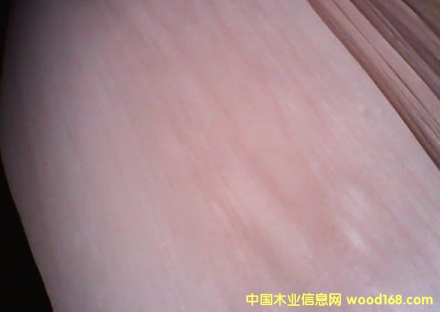 �sľ�ȸ��N�ΰ�