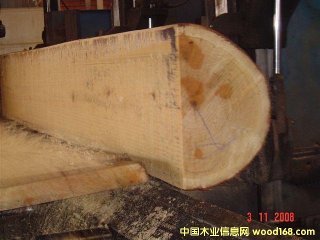 �����ԭľ��Ԕ����B