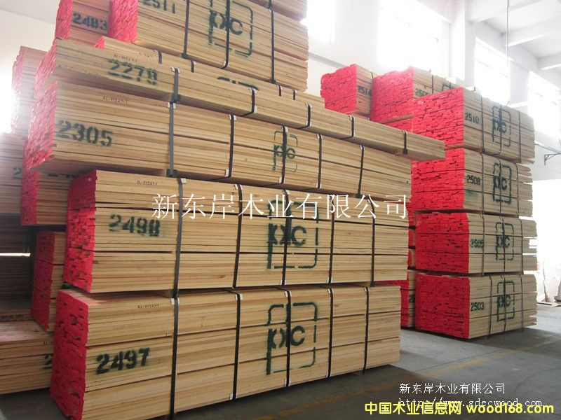 ˮ����-American