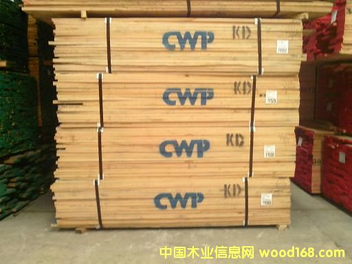 �t�� CWP��Ԕ��(x��)��B