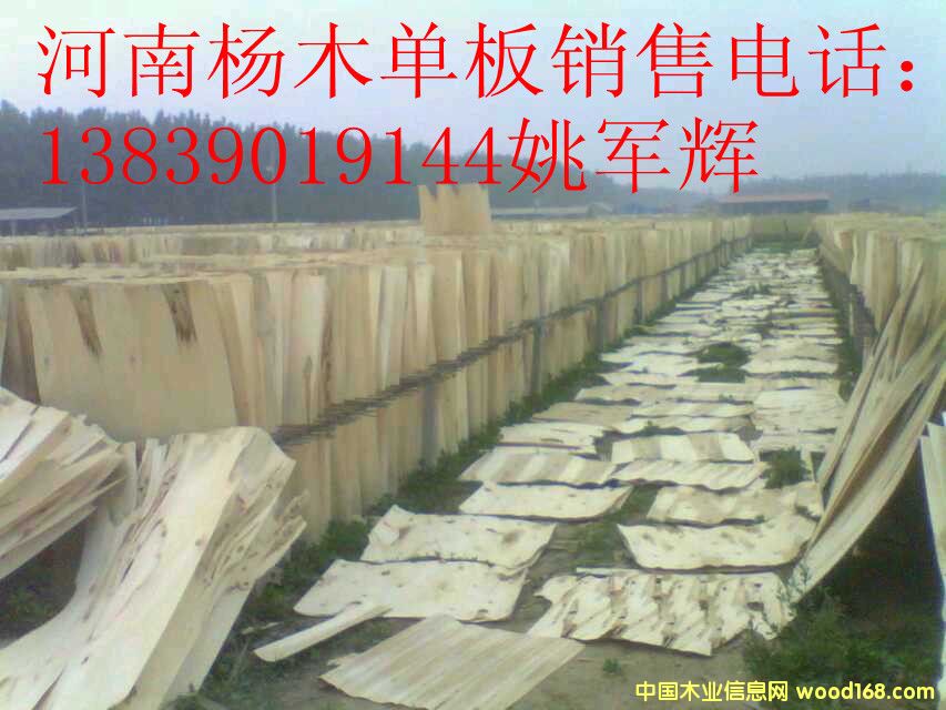 ���ϗ�ľ�ΰ�1��Ԕ��(x��)��B