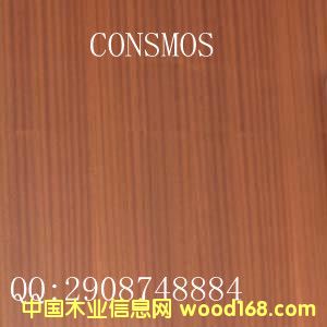 ɳ�����N����Ԕ����B