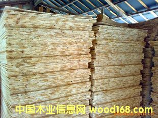 ɼС�lƴ���Ԕ����B