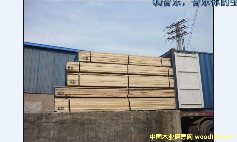 �����S��ח����Z���