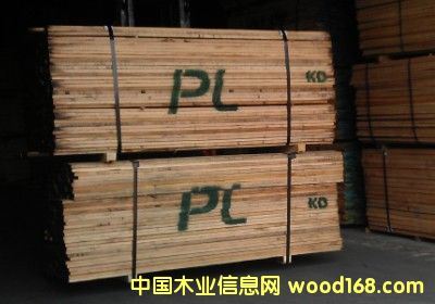 ���l(f��)�t��-PL��Ԕ����B