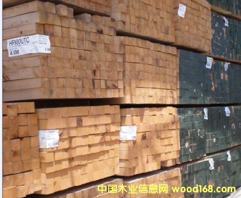 ���ô���ľ