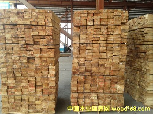 [��] �L(zh��ng)�ڴ������l(f��)�������zľľ�� ���ݴ�С���� ������ �|(zh��)��(y��u)�r(ji��)��