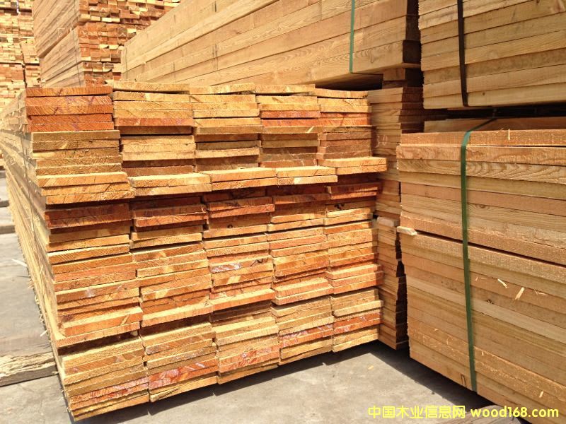 落葉松的詳細(xì)介紹