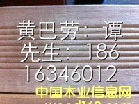 巴勞木的詳細(xì)介紹