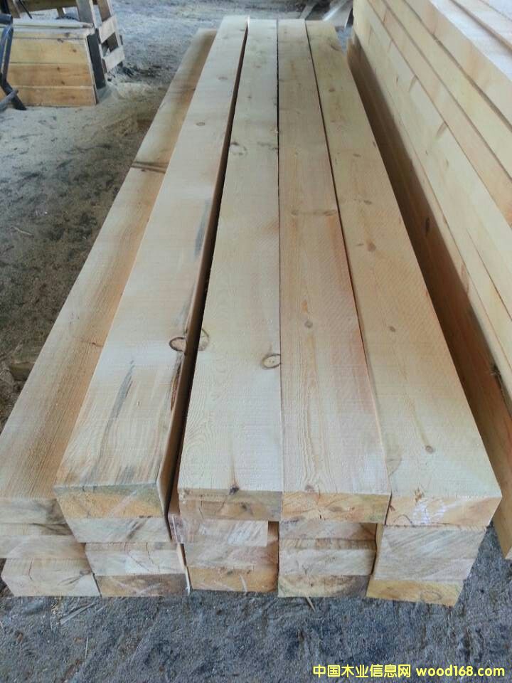 樟松成材的詳細(xì)介紹